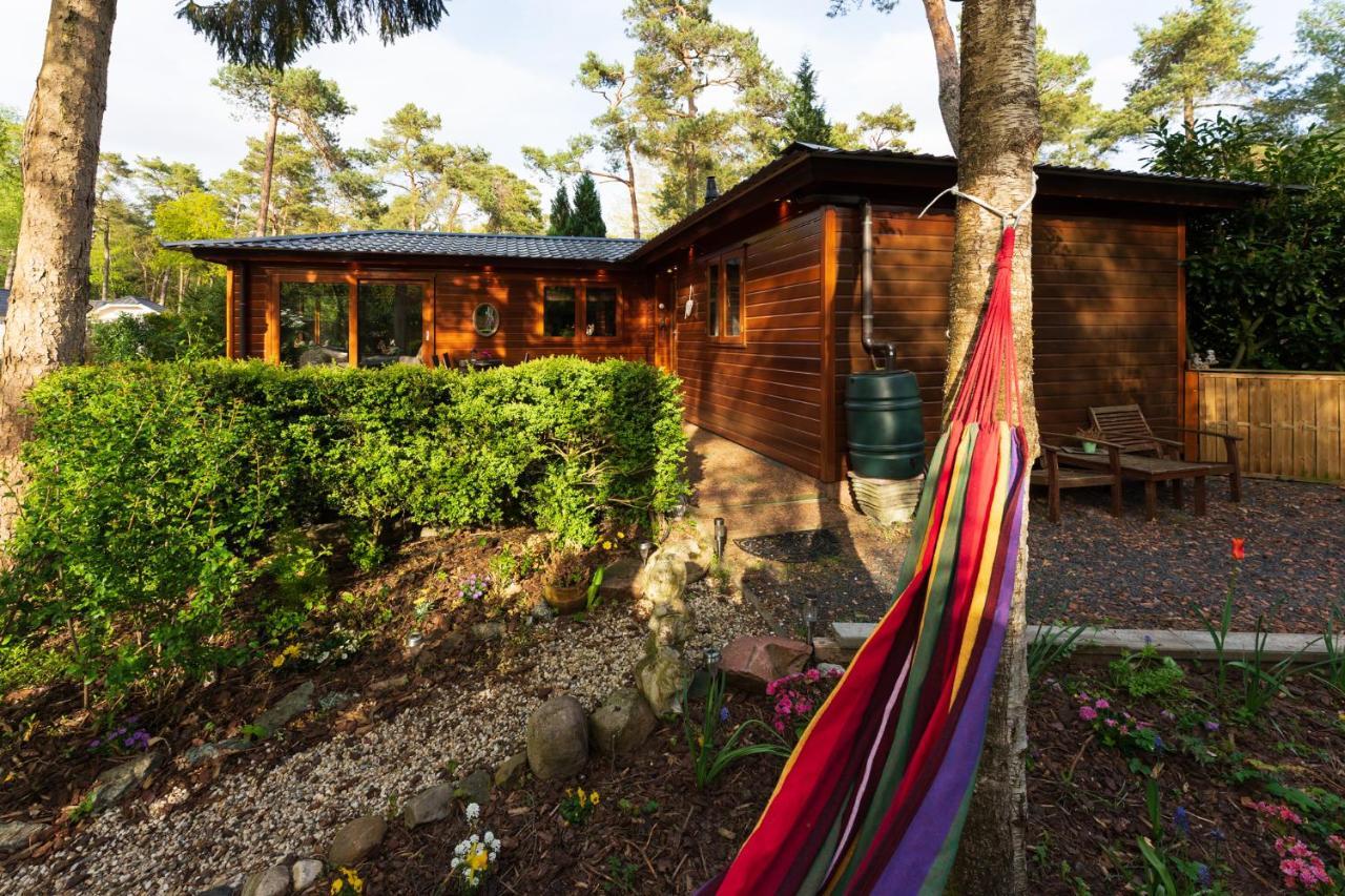 Chalet Heppie People Doornspijk Exteriör bild